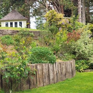 Hillside-landscaping-with-mature-planting